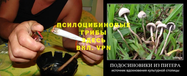 ешки Алексин