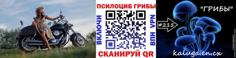 Галлюциногенные грибы Cubensis Дивногорск