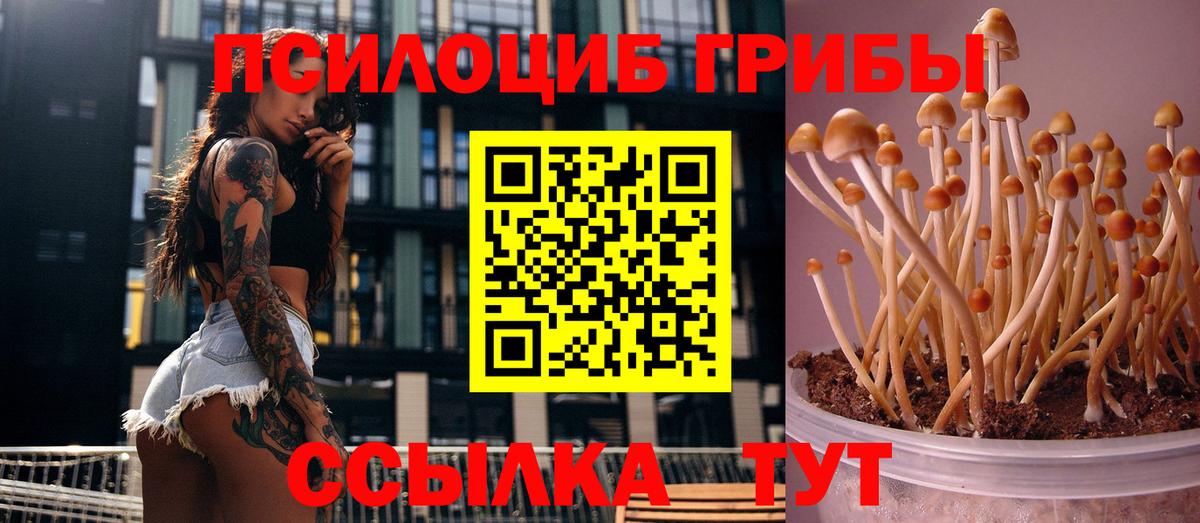 Галлюциногенные грибы прущие грибы  Вход с VPN  даркнет сайт  Дивногорск 